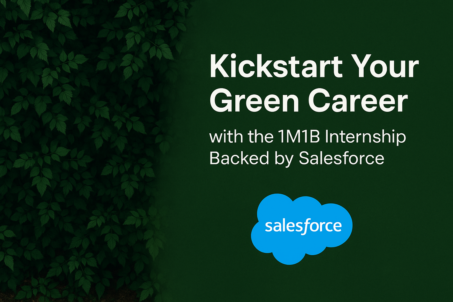 Kickstart Your Green Career with the 1M1B Internship Backed by Salesforce